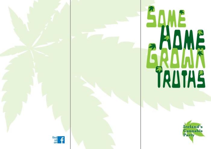 I.C.P.FlyerTemplate1